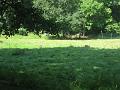 Zoo Cottbus 001